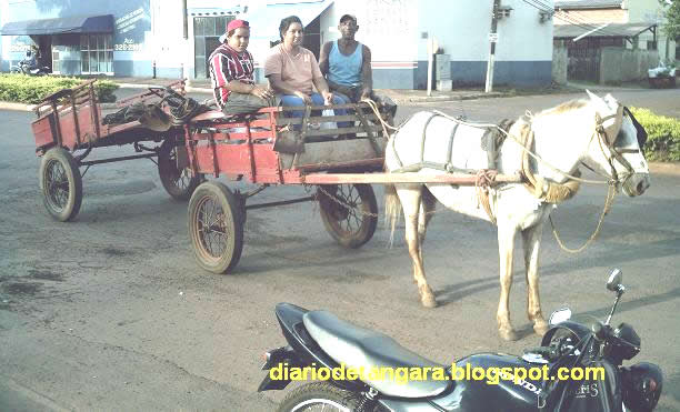 Carroças dividem o trânsito em Tangará da Serra