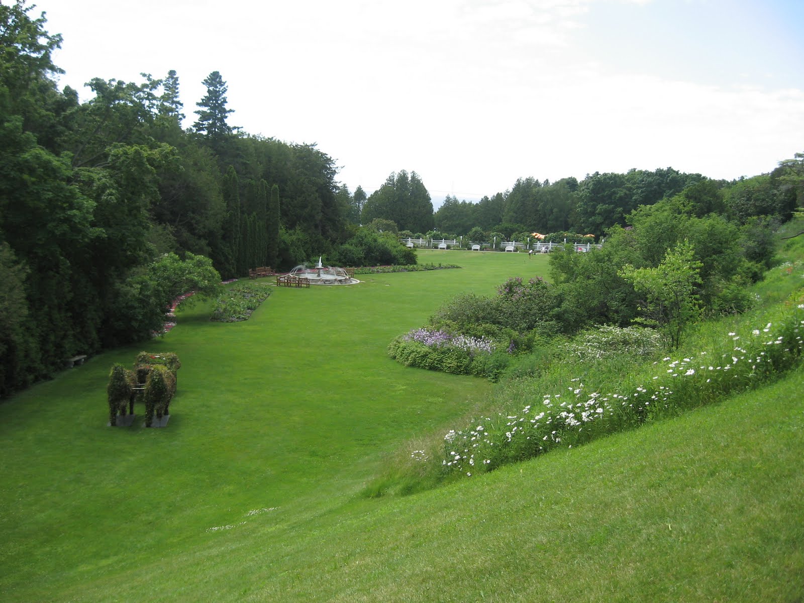 [Michigan2008+060.JPG]