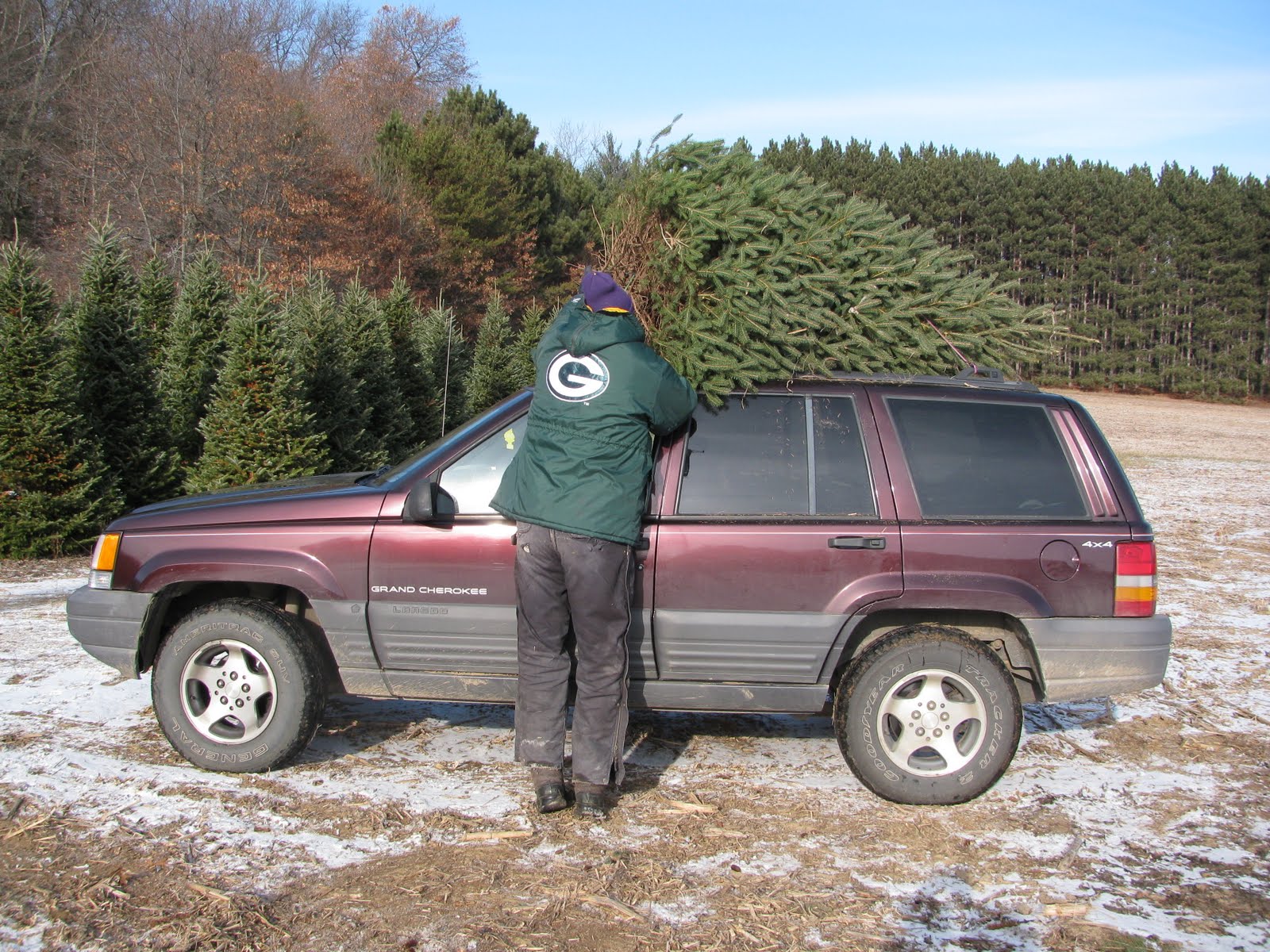 [Christmas+Tree+09+040.JPG]