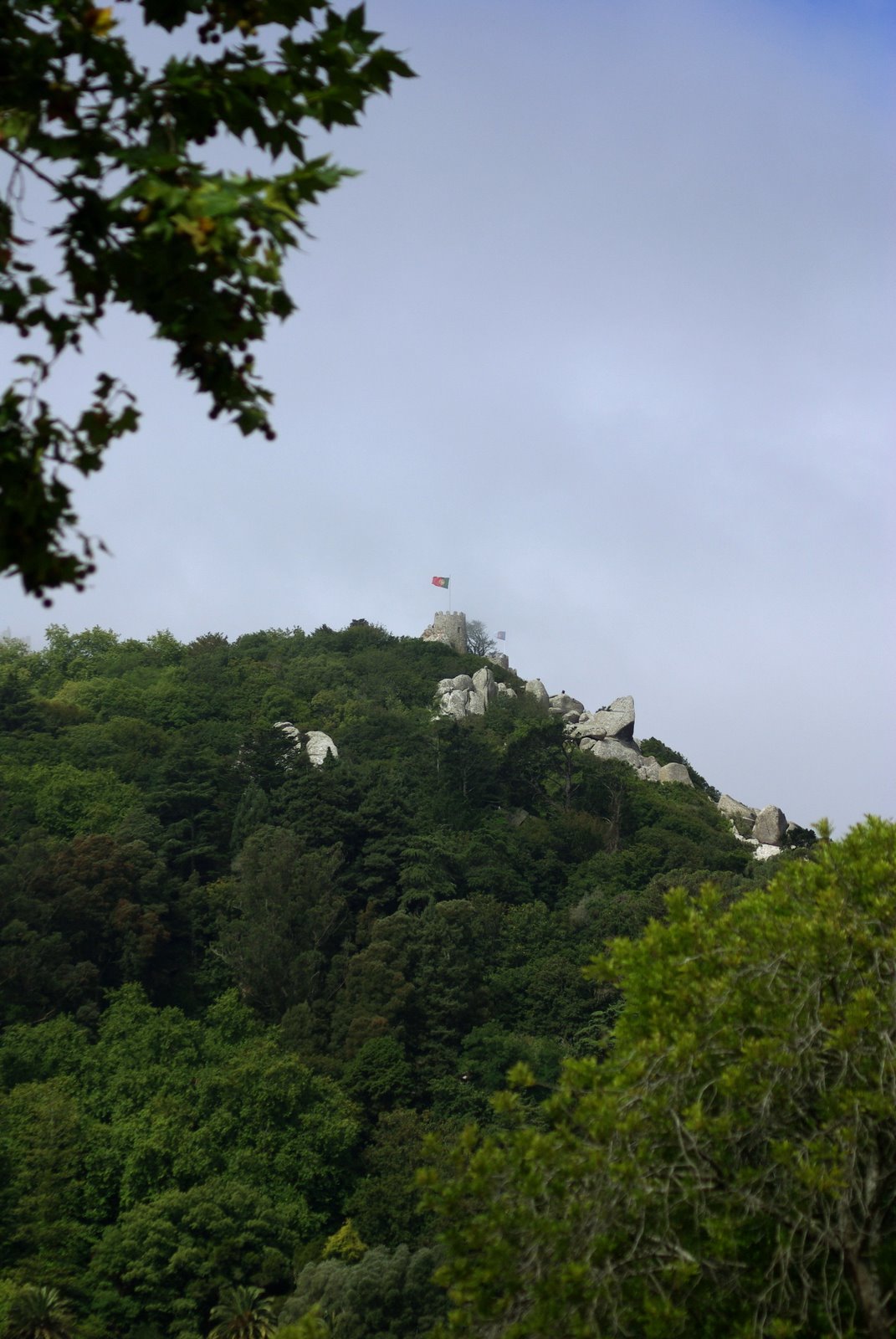 [IMGP0190a.jpg]