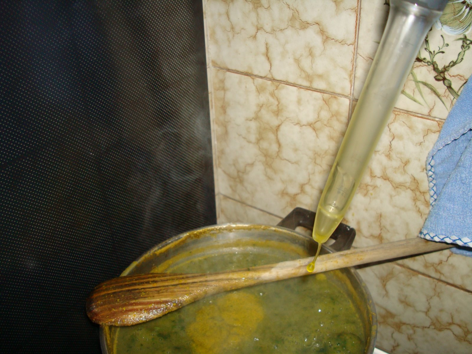 [DSC03981.JPG]