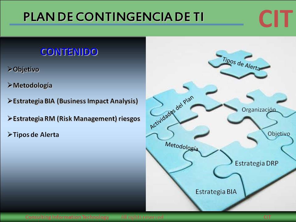 Texas instruments business model picture