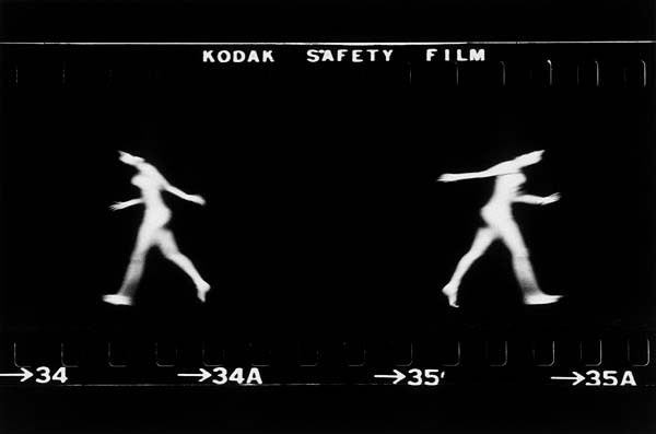 [Involution71976.jpg]