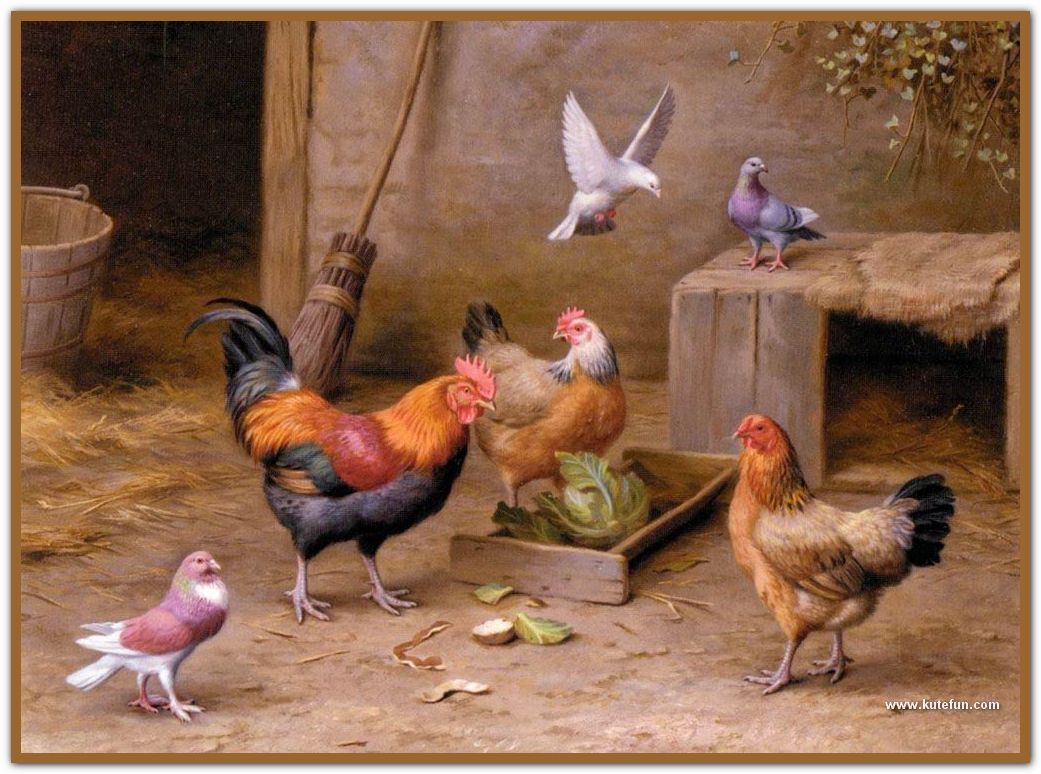 [Chickens_In_A_Farmyard-772570.jpg]