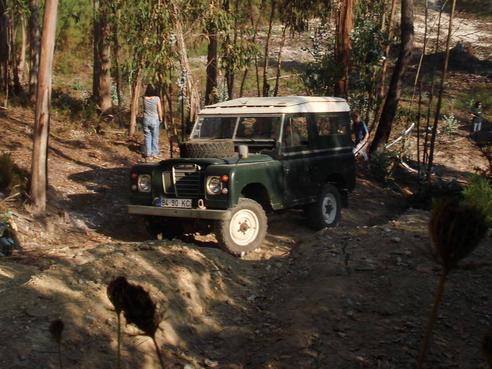 [DSC06304.JPG]