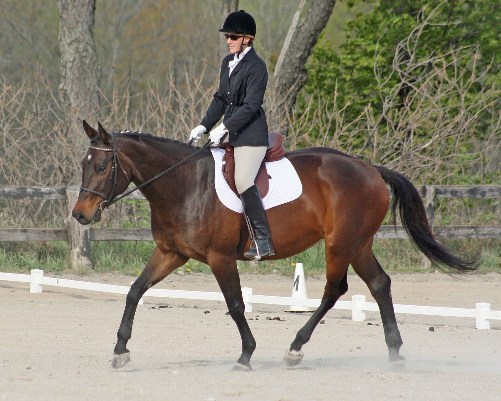 Elaine Ward Dressage 2010 Milestone Dressage Show Arabian and Bronze Show