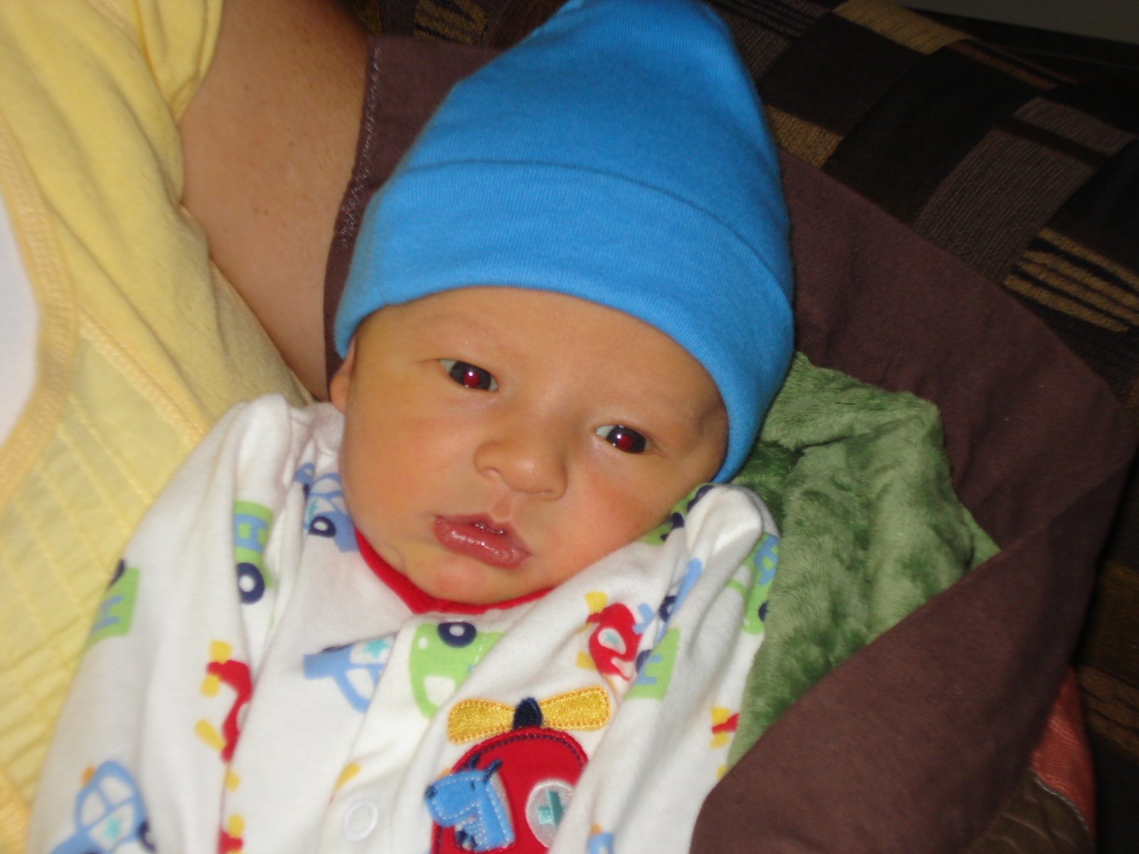 [DSC01353.JPG]