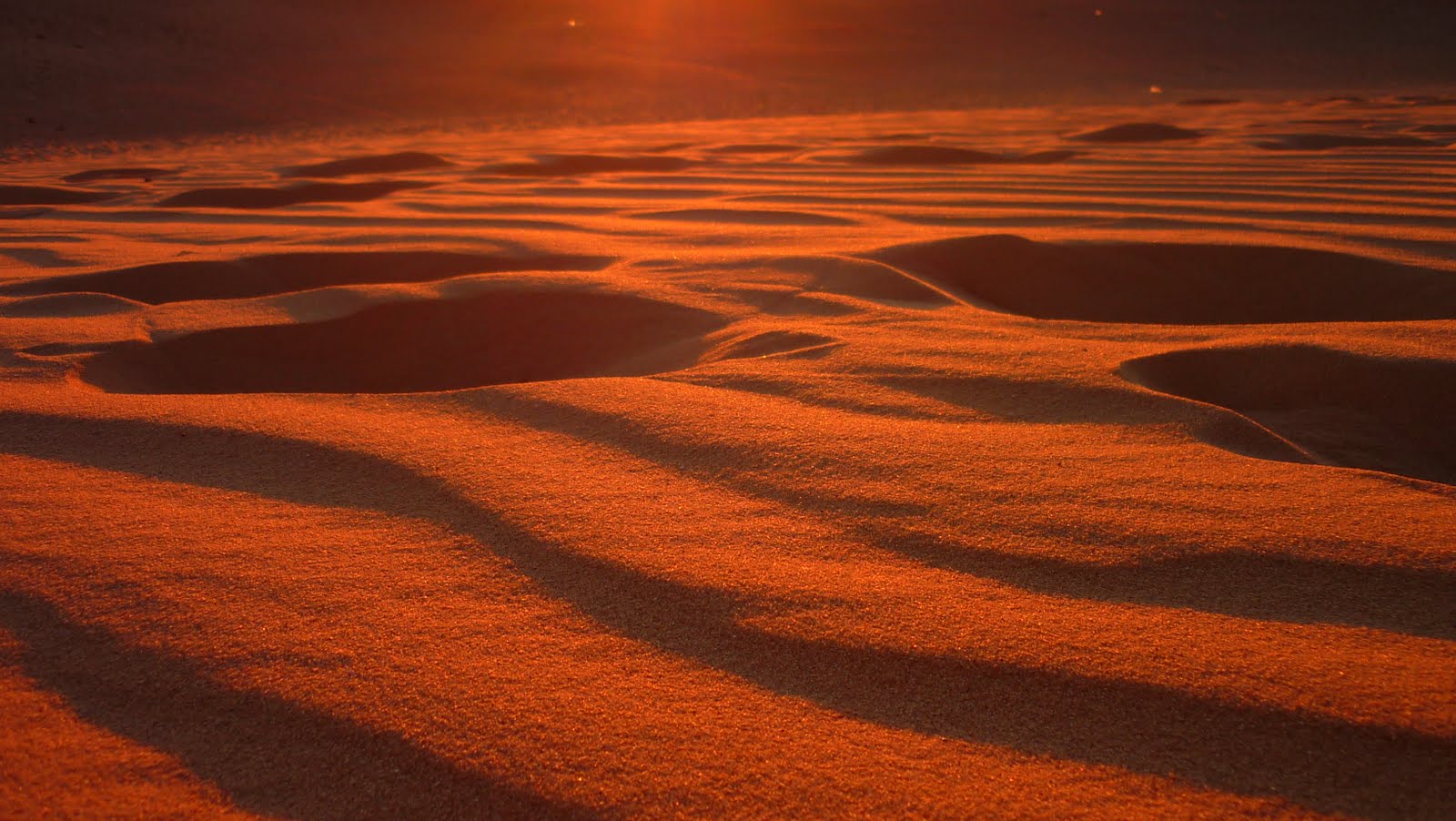 [desierto.jpg]