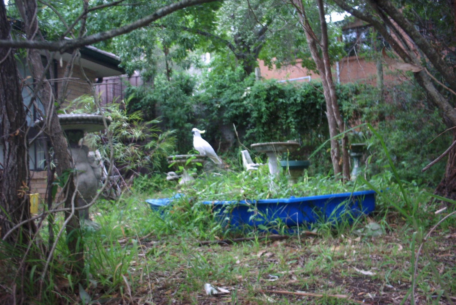 [PICT0036.JPG]