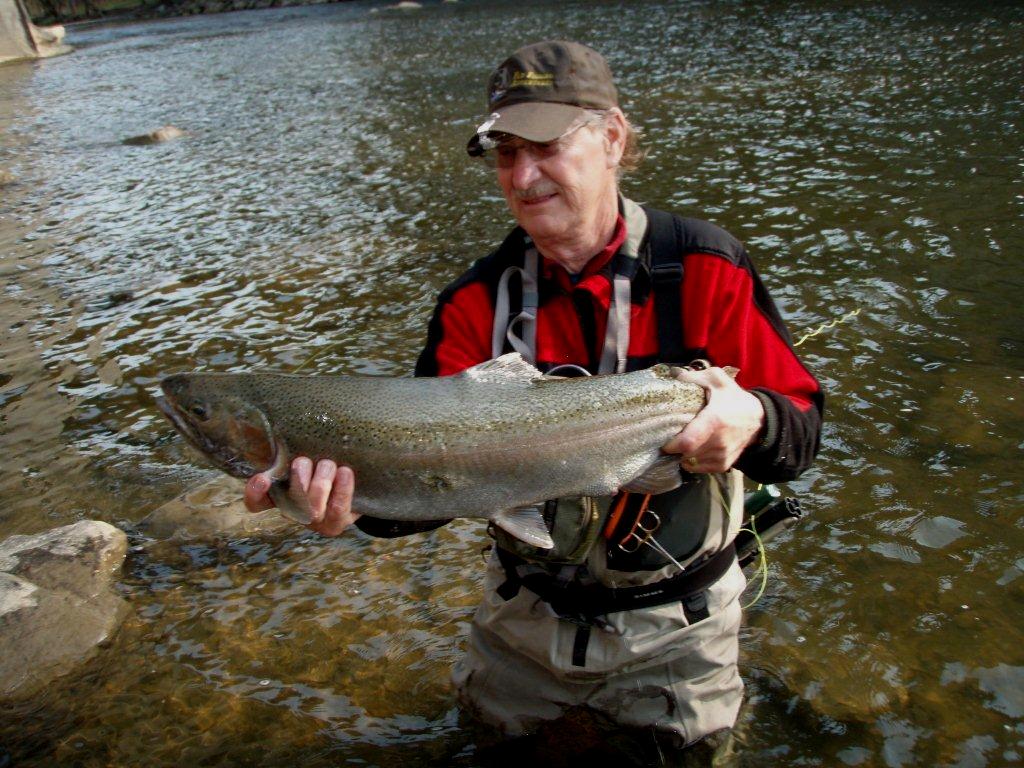 The Steelhead Guide Steelhead Colors and Lampreys