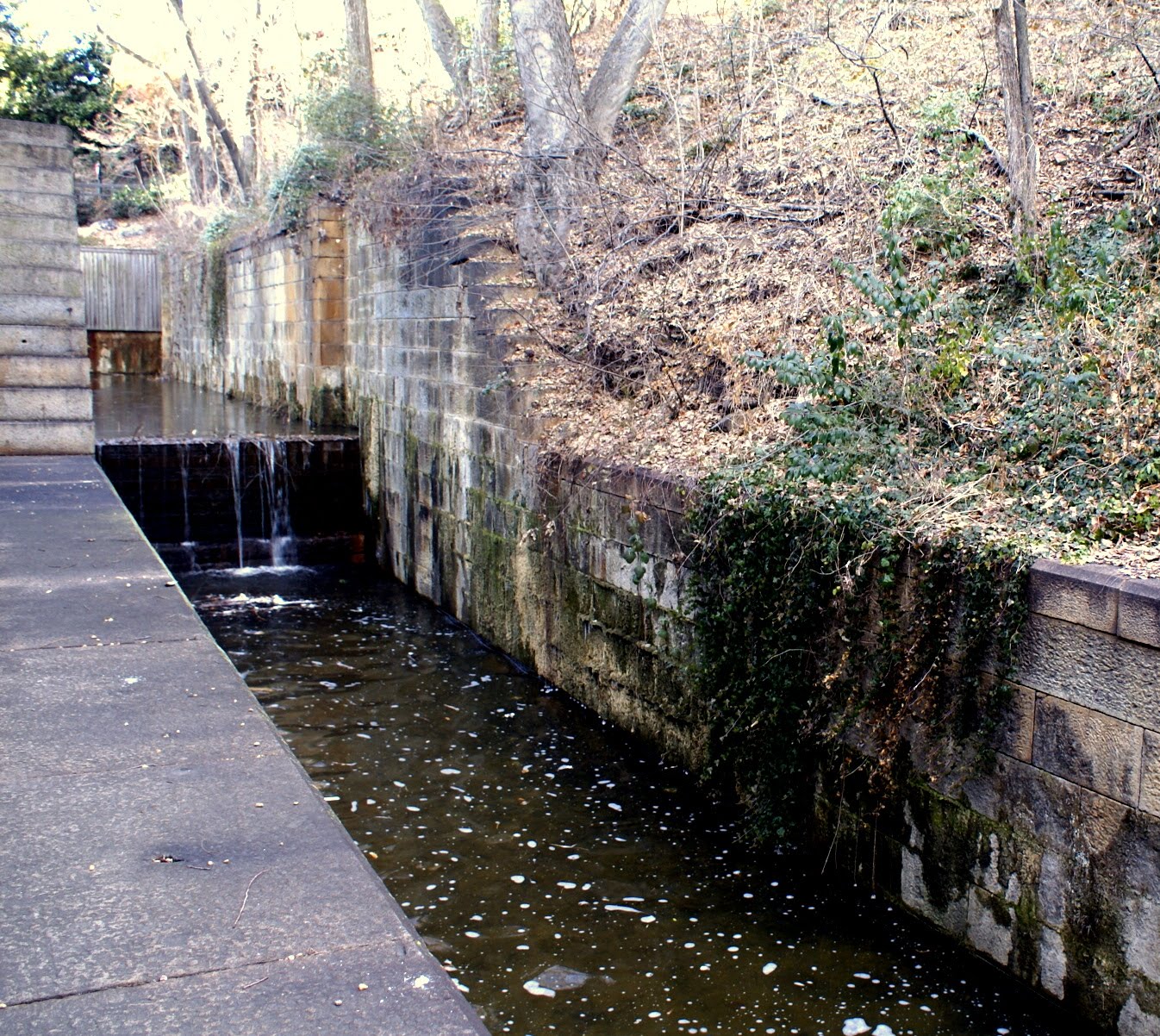 A Place in Richmond The Kanawha Canal Locks and Bridge