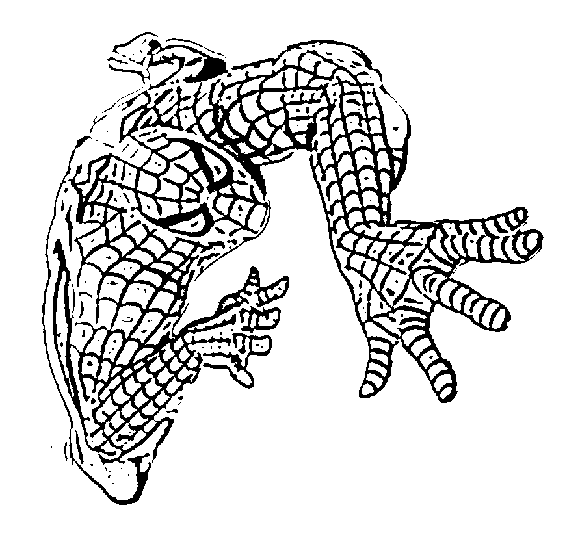 Baby Coloring Pages For Kids Baby Coloring Pages For Kids