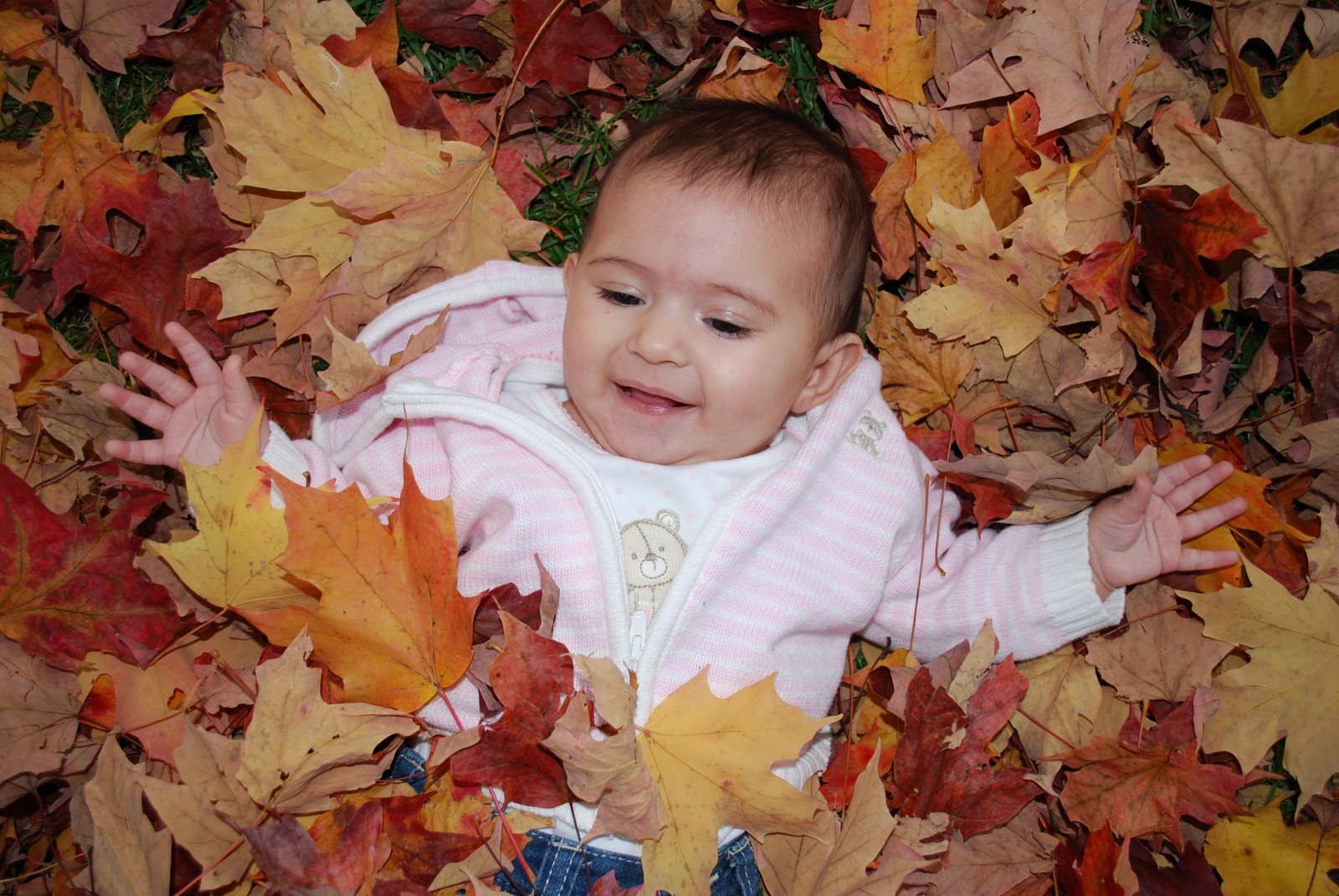 [DSC_0090.JPG]