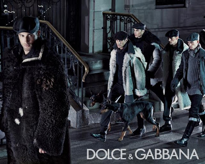Dolce Ads