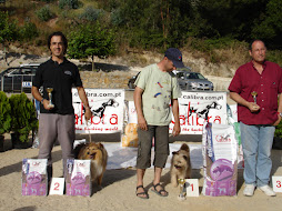 Spot: Campeão Nacional de Agility 2005/06