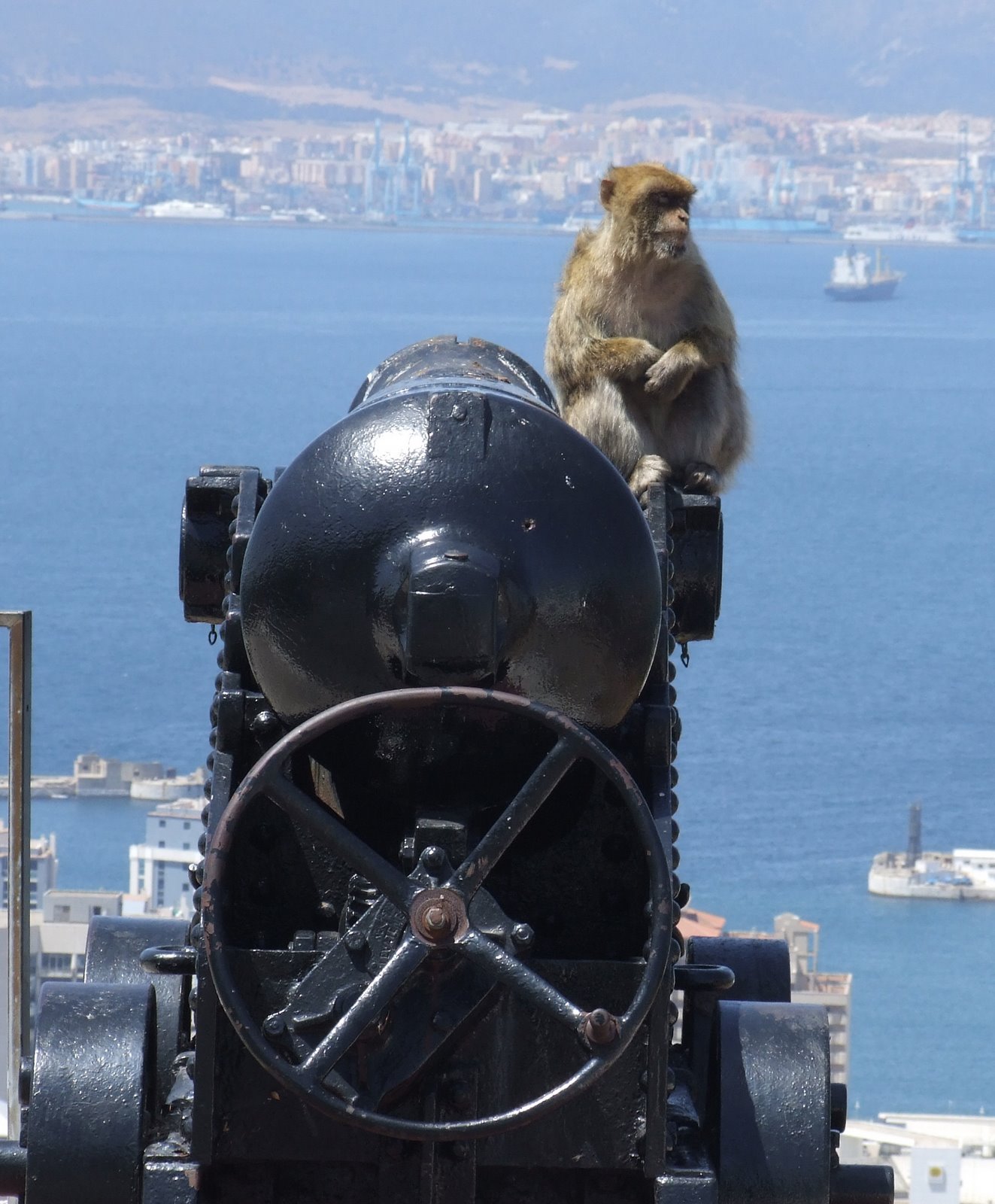 [powder+monkey.JPG]