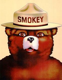 smokey-the-bear.jpg
