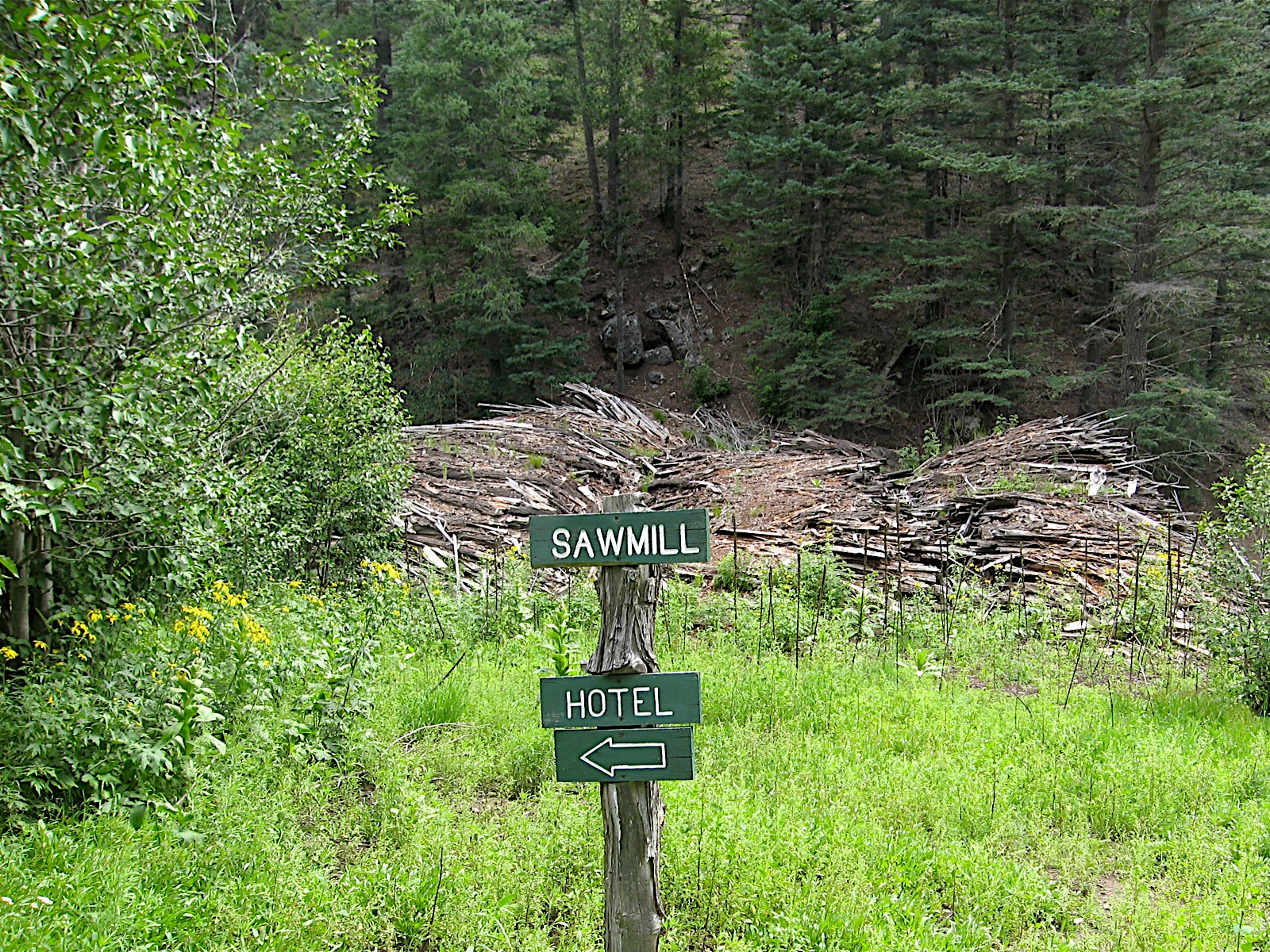 Expecting to Fly Glorieta Ghost Town
