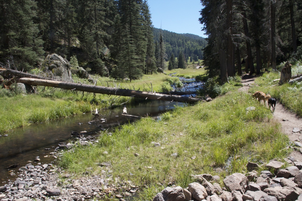 Expecting to Fly Hiking the East Fork of the Jemez River