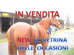 NEW: IN VENDITA