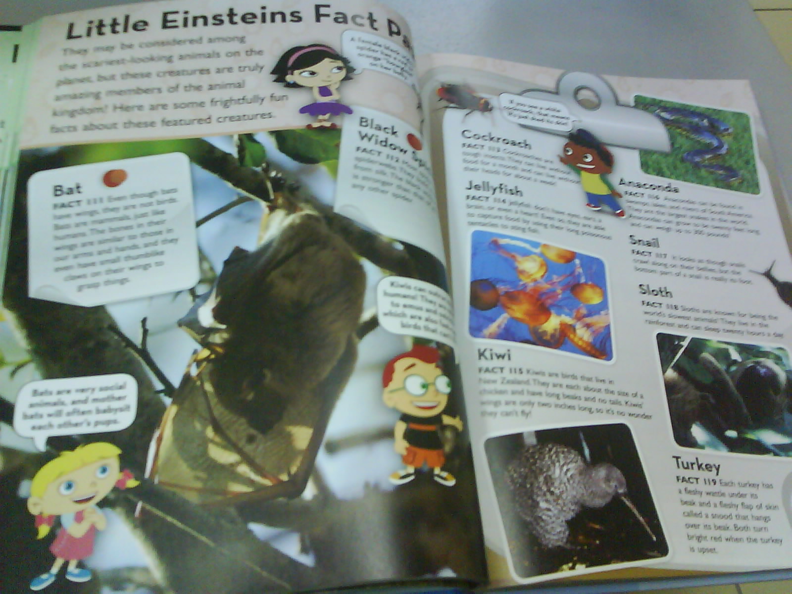 H e e l s & T u x Playhouse Disney Encyclopedia for sale!!