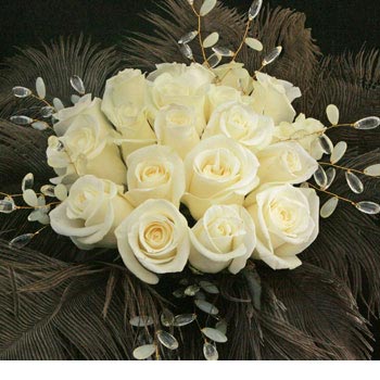 white rose pictures. White rose - symbolises