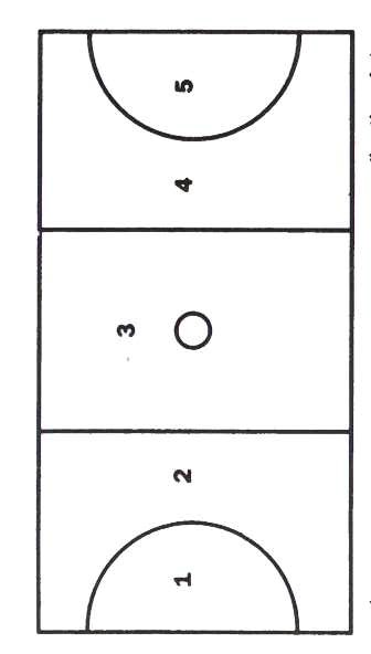 netball court diagram