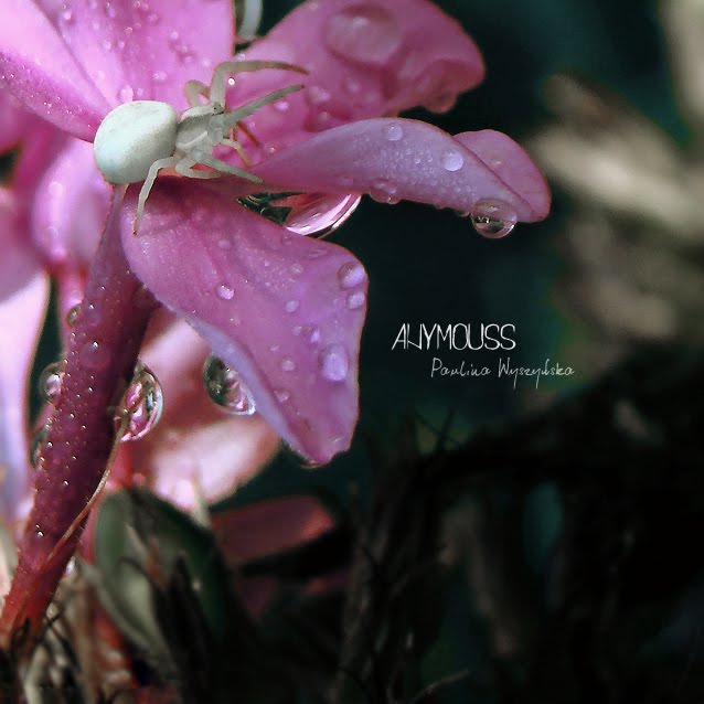[DSC09491+copy.jpg]