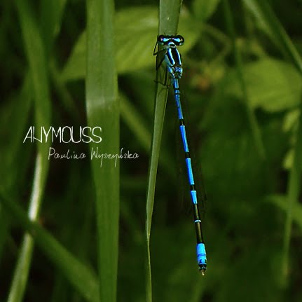 [DSC07764+copy.jpg]