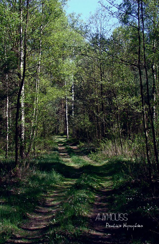 [DSC06538+copy.jpg]