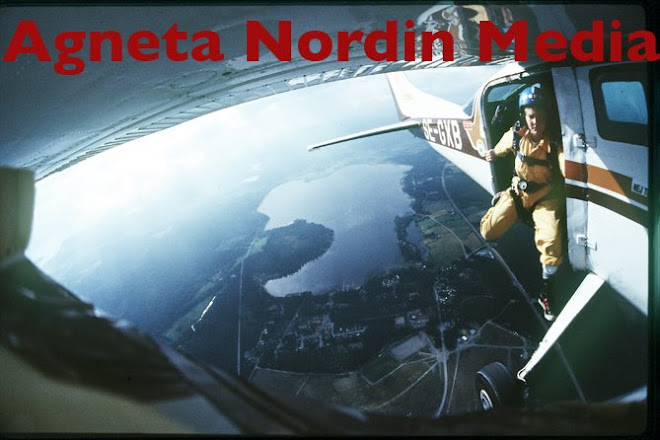 Agneta Nordin Media