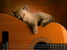 GUITAR KITTEN