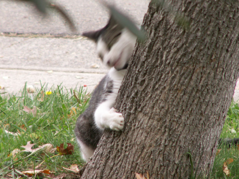 [2007+Oct+15+Mooch+068.jpg]