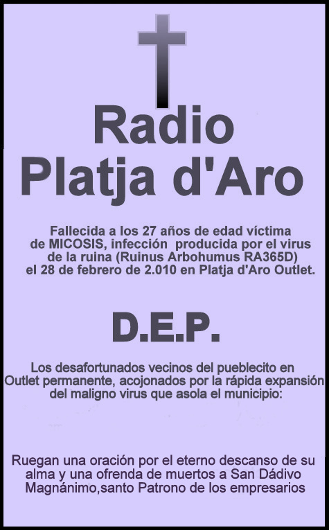 [RIP-RADIO...jpg]