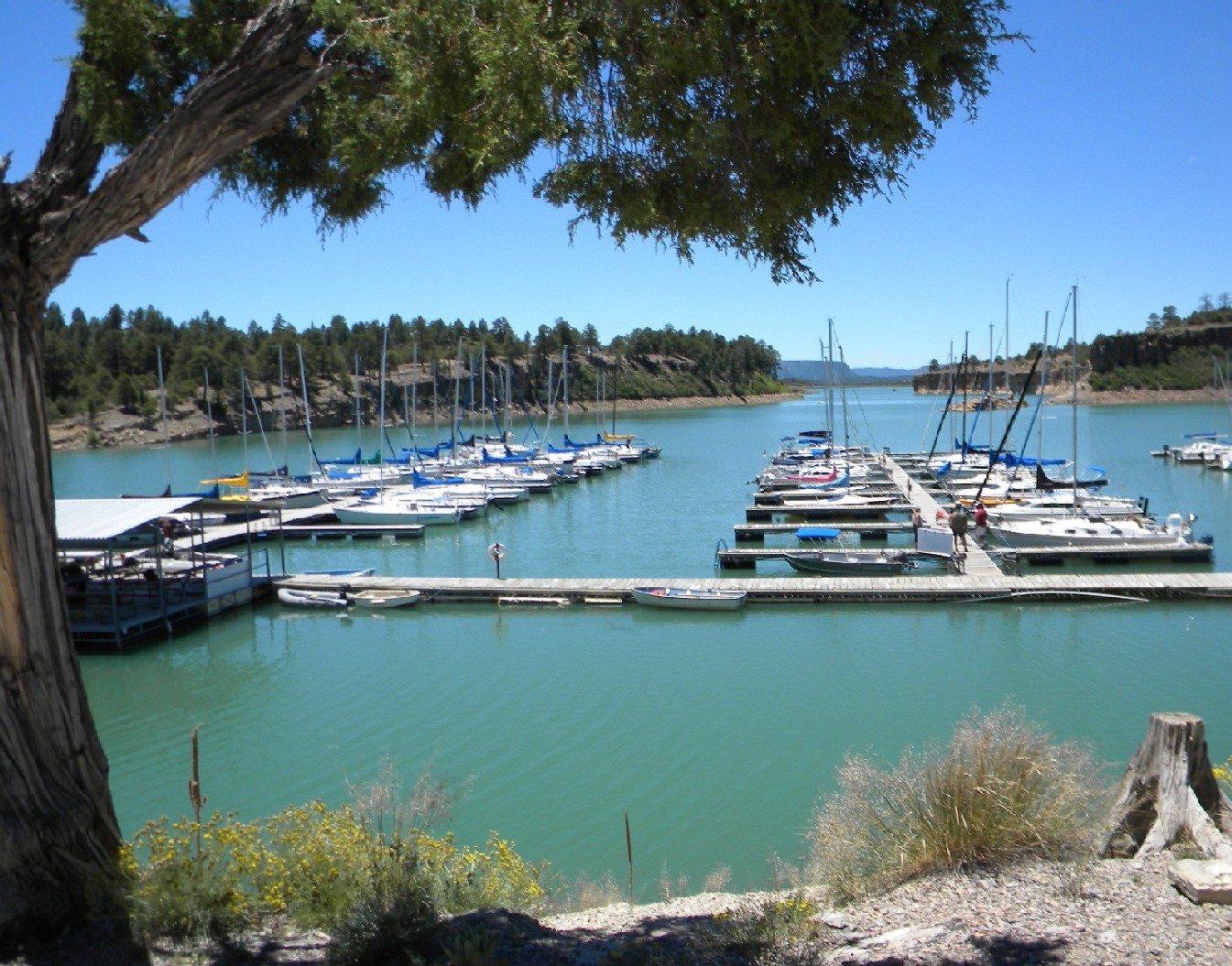 Desert Sea New Mexico and Southwestern Sailing Monday at the Marina