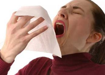 ¿Hay razones para diversos patrones Estornudos?