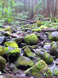 Olympic National Park