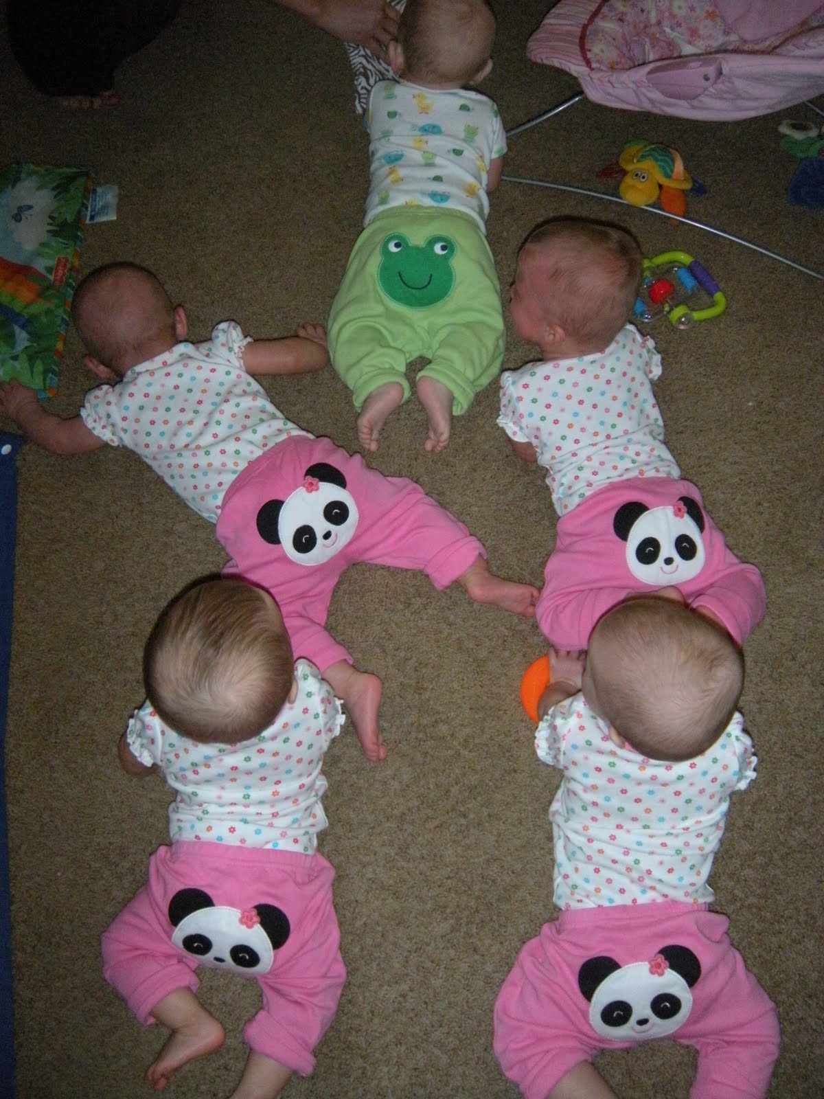 [DSCN2748.JPG]