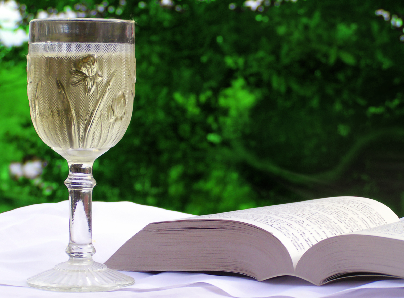 [book wine.jpg]
