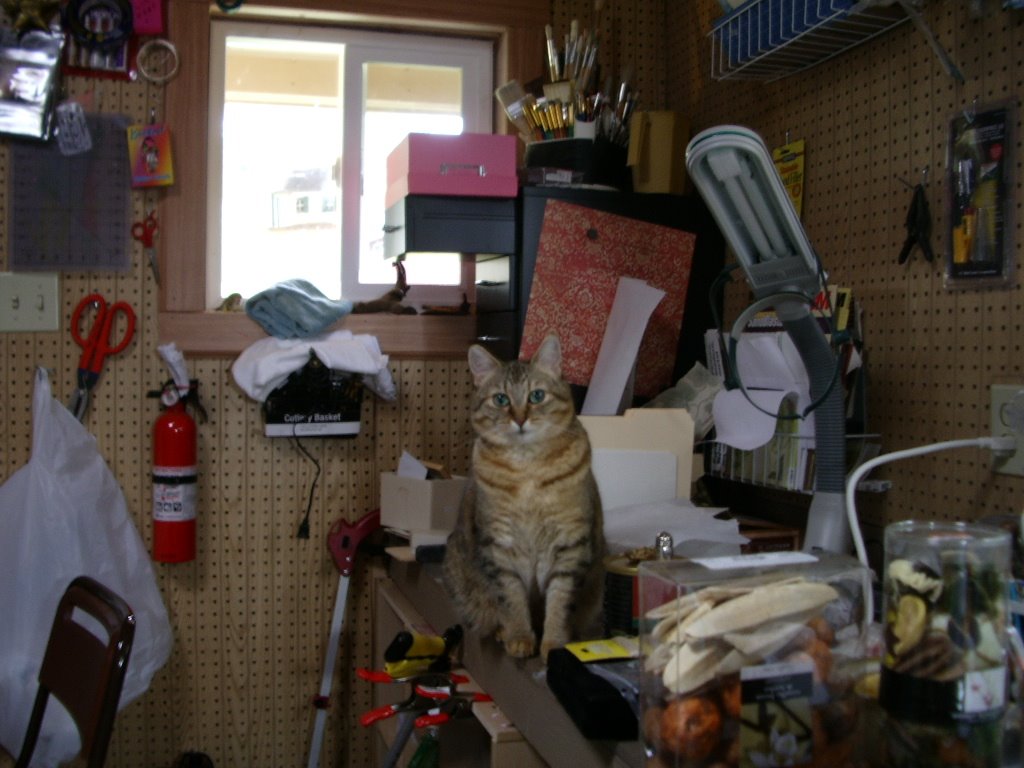 [IMGP0904.JPG]