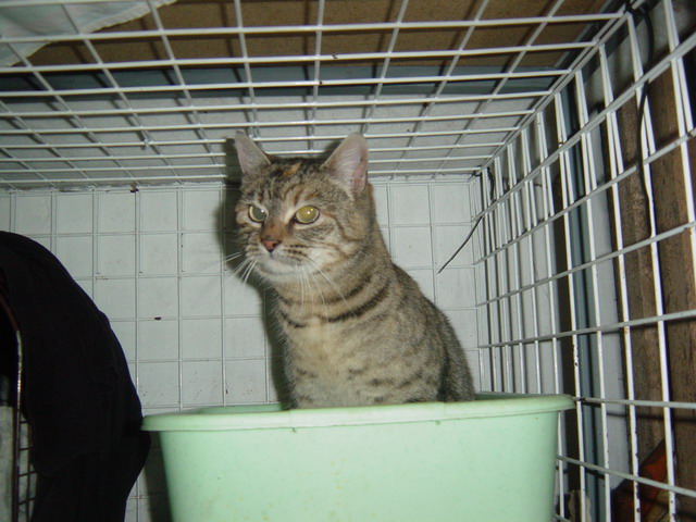 [DSC00013_resize.JPG]