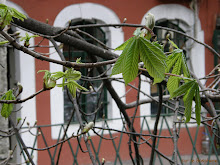 arrivée des bourgeons aussi