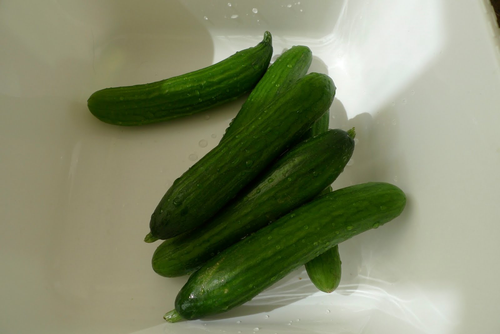 What's Cooking at Soomeenshee's Cucumber Kimchi