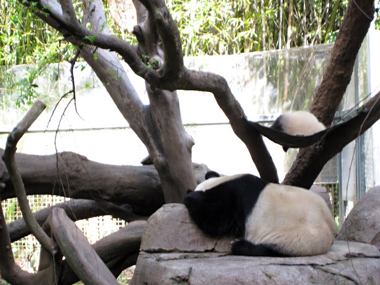 [0101_Personal-San+Diego_X1007-T.jpg]