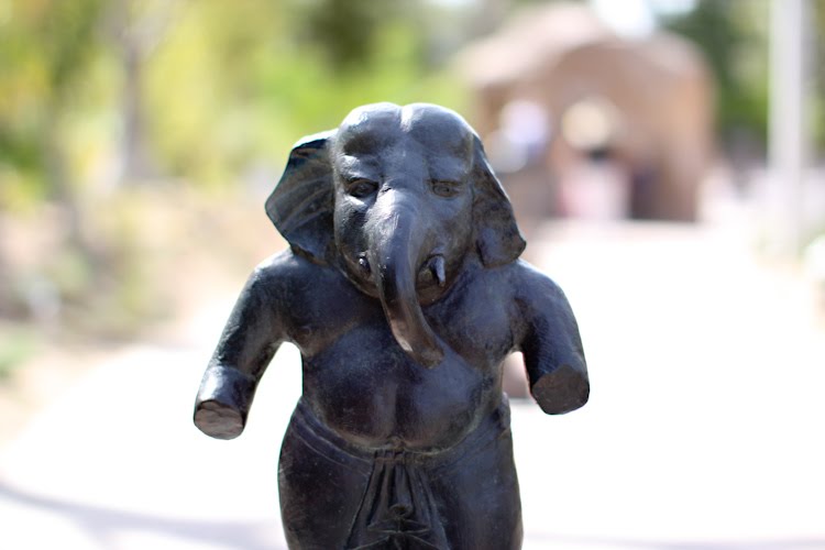 [0166_Personal-San+Diego_X1007-T.jpg]