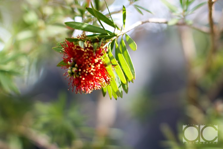 [0097_Personal-San+Diego_X1007-T.jpg]