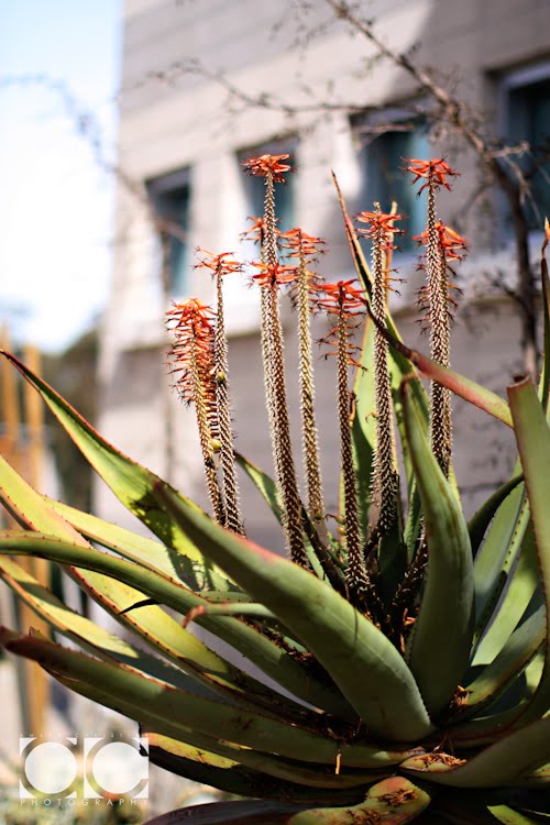 [0207_Personal-San+Diego_X1007-T.jpg]