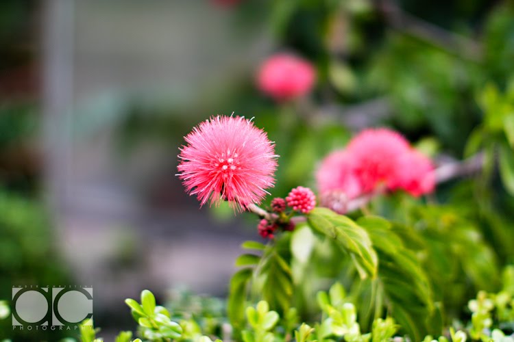 [0238_Personal-San+Diego_X1007-T.jpg]