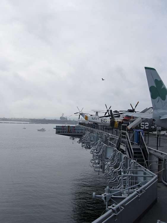 [0290_Personal-San+Diego_X1007-T.jpg]