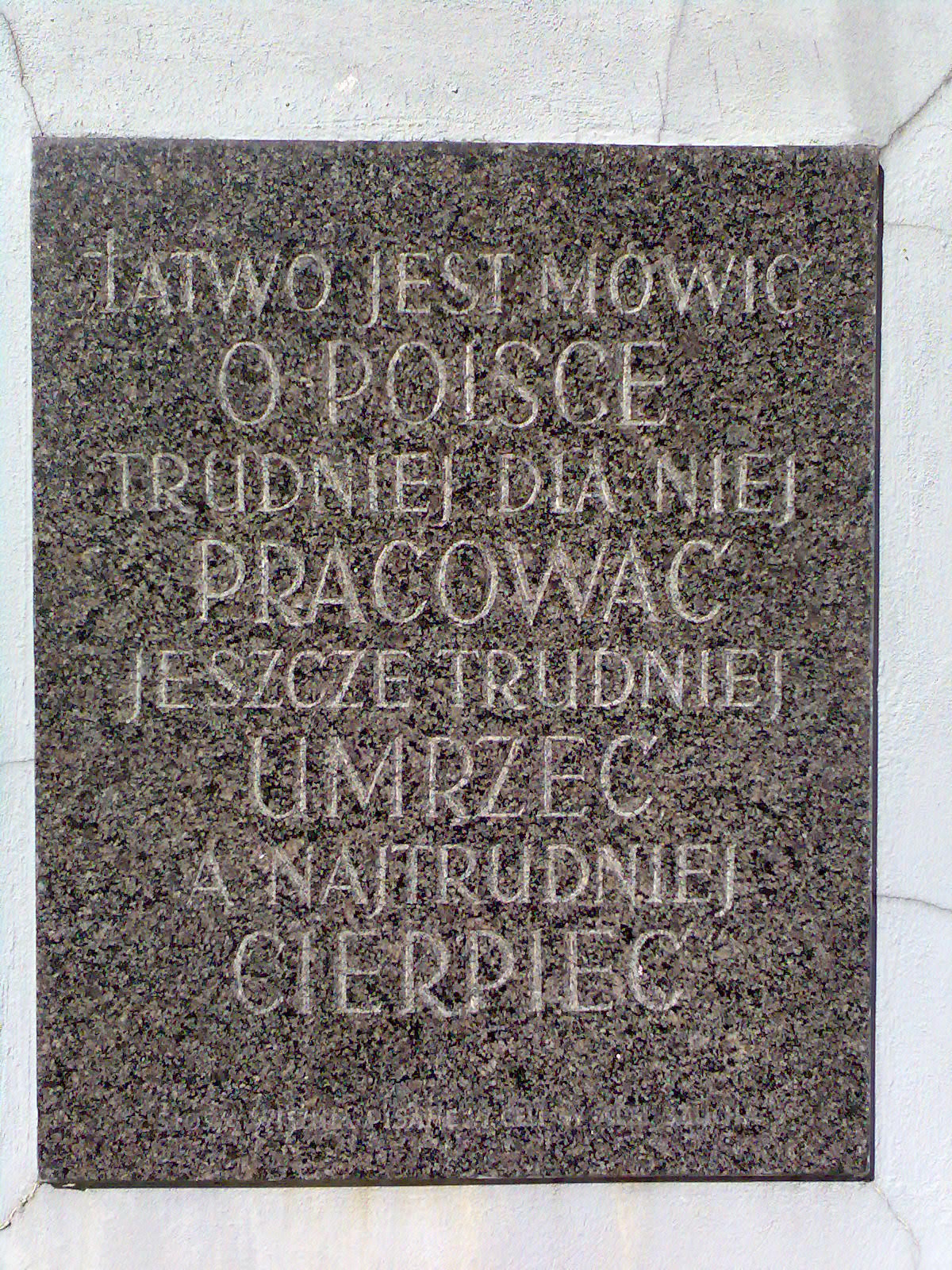 [Img009.jpg]